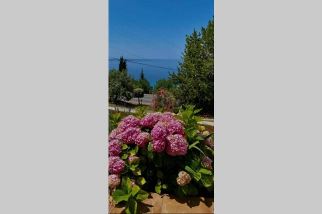 מליני Villa Pergola -Apartment Roko מראה חיצוני תמונה